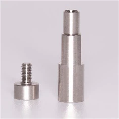 Straumann analogas
